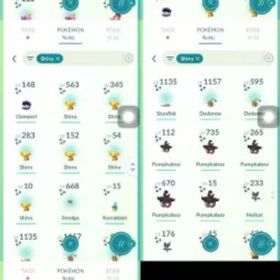 #2152 LV 61 ノーチーム(41 色違い) PTC ログイン 3.1m 星の砂