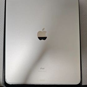 iPad Pro 12.9 インチ 第5世代 1tb