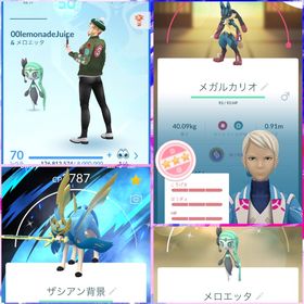 TL70 最強引退垢 高個体・色違い多数 レイドパス165枚‼️ | ポケモンGOのアカウントデータ、RMTの販売・買取一覧