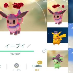 9417【PTC】国産！色違いダイマックスイーブイ2匹 内XXL1匹 他 | ポケモンGOのアカウントデータ、RMTの販売・買取一覧