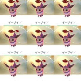 【色違い】イーブイ（ダイマックス）９体セット | ポケモンGOのアカウントデータ、RMTの販売・買取一覧