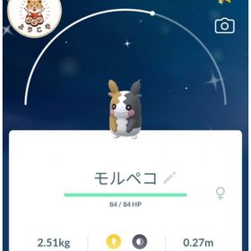 (まゆ様)✨色違いモルペコ | ポケモンGOのアカウントデータ、RMTの販売・買取一覧
