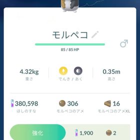 ✨色違いモルペコ♂1♀1✨ | ポケモンGOのアカウントデータ、RMTの販売・買取一覧