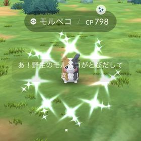 モルペコ 色違い PTCアカウント | ポケモンGOのアカウントデータ、RMTの販売・買取一覧