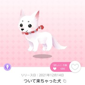 ついて来ちゃった犬 | ポケコロツイン(ポケツイ)のアカウントデータ、RMTの販売・買取一覧