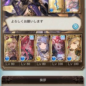 ✦️最終値下げ✦️引退垢(ssr495人、ルミナス5本)季節限定多数 | グラブルのアカウントデータ、RMTの販売・買取一覧