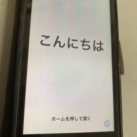iPhone SE 第1世代 64GB SIMフリー 本体のみ 米国購入品