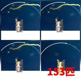 95⭐️PTC⭐️国産⭐️砂95万!色違いモルペコ3匹 | ポケモンGOのアカウントデータ、RMTの販売・買取一覧