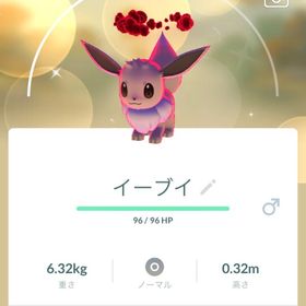 ふるふるさん専用 | ポケモンGOのアカウントデータ、RMTの販売・買取一覧