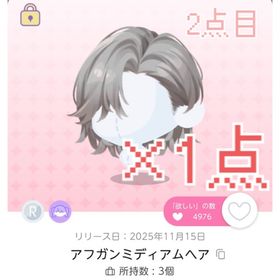 R アフガンミディアムヘア 1点 | ポケコロツイン(ポケツイ)のアカウントデータ、RMTの販売・買取一覧