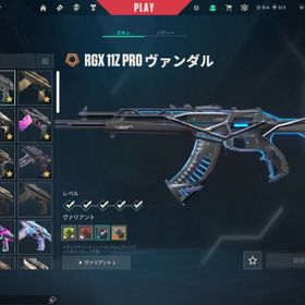 1stオーナー引退垢 人気スキン | VALORANT(ヴァロラント)のアカウントデータ、RMTの販売・買取一覧