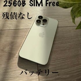 iPhone 13 Pro Silver 256GB SIM Free