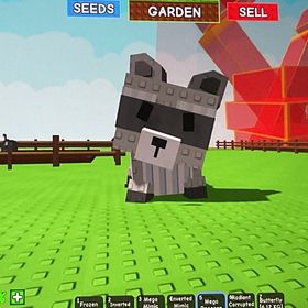 Raccoon Disco Bee Butterfly Octopus2体 セット | ロブロックス(ROBLOX)のアカウントデータ、RMTの販売・買取一覧