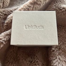 LinkBuds S (WF-LS900N) ブラック