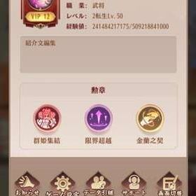 2017年代 VIP12 アカウント連携済 | 放置少女のアカウントデータ、RMTの販売・買取一覧