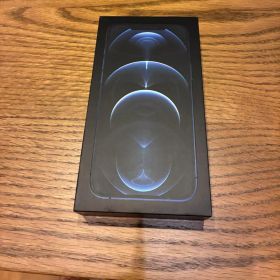 iPhone12 Pro Max 256G