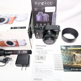 【新品同様】 Panasonic LUMIX G DC-GF10W ブラック