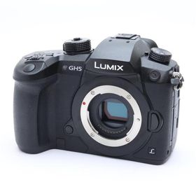 《美品》Panasonic LUMIX DC-GH5 ボディ