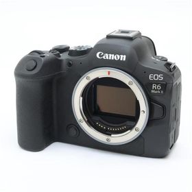 《美品》Canon EOS R6 Mark II ボディ