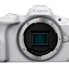【送料無料】Canon キヤノン ミラーレス EOS R50 WH ホワイト ボディ