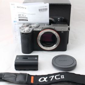 ☆良品☆ SONY ソニー α7C II フルサイズ ミラーレス一眼カメラ α7CII ボディ シルバー ILCE-7CM2 S #4151