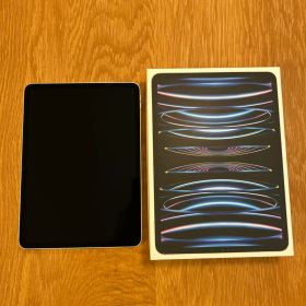 iPad Pro 11インチ 第4世代 A2761 256GB