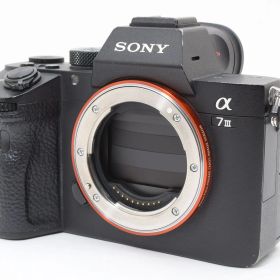 ★良品★ ソニー SONY α7III ボディ ILCE-7M3 《ショット数79804回！》★完動品★ #611P521A508148