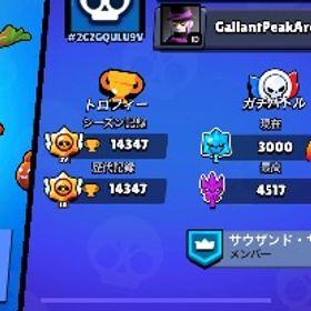 ブロスタ引退垢 | ブロスタ(ブロウルスターズ)のアカウントデータ、RMTの販売・買取一覧