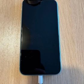 Apple iPhone 11 ミントグリーン 本体