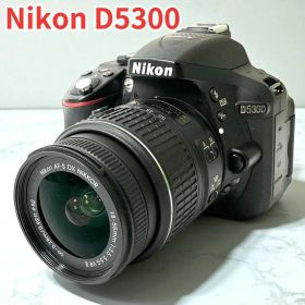 Nikon D5300 デジタル一眼レフカメラ バリアングル液晶Wi-Fi機能付