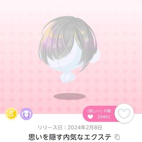 思いを隠す内気なエクステ 一点 | ポケコロツイン(ポケツイ)のアカウントデータ、RMTの販売・買取一覧