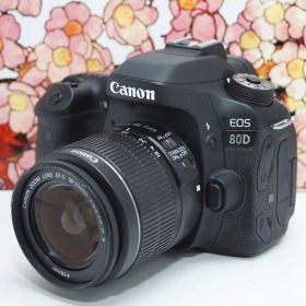 ❤️ハイスペック❤️キヤノン Canon EOS 80D レンズセット❤️