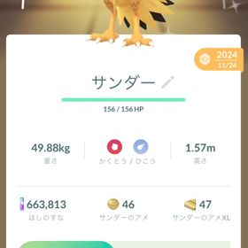 【色違い】ガラルサンダー ⚠️愛知県民or位置偽造可能な方 | ポケモンGOのトレード(モンスター)、RMTの販売・買取一覧