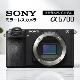 ソニー SONY ミラーレスカメラ α6700 ILCE-6700 ボディ APS-Cサイズ 本体のみ