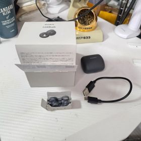 WF-L900 HM ソニー ワイヤレスイヤホン 無線 ジャンク