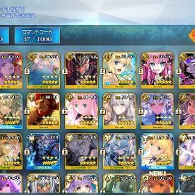 FGO引退 誕生日未設定 宝具5Lv120オルガマリー 聖晶石1000個↑ | FGOのアカウントデータ、RMTの販売・買取一覧