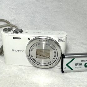 SONY Cyber Shot DSC-WX300 #2723