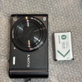 SONY サイバーショット DSC-WX300 11182