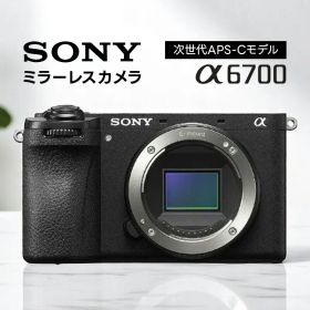 ソニー SONY ミラーレスカメラ α6700 ILCE-6700 ボディ APS-Cサイズ 本体のみ