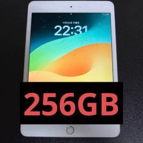 iPad mini 5 256GB Wifi+Cellular 動作良好