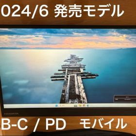 I-O DATA モバイルディスプレイ DI-YC162H モバイルモニター