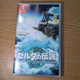ゼルダの伝説 ティアーズ オブ ザ キングダム