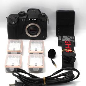 パナソニック ミラーレス一眼カメラ ルミックス GH5 ボディ ブラック DC-GH5-K