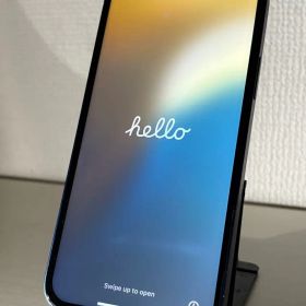 Apple iPhone 12 ジャンク