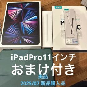 iPad Pro 11 (第3世代) + Apple Pencil おまけ 美品