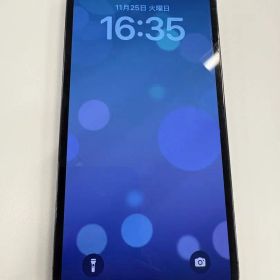 Apple iPhone 13Pro Max本体