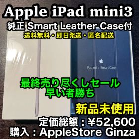 早い者勝ち❗️✨MS Office無料✨【新品】iPad mini3 豪華セット