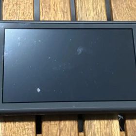 Nintendo Switch Lite グレー 本体