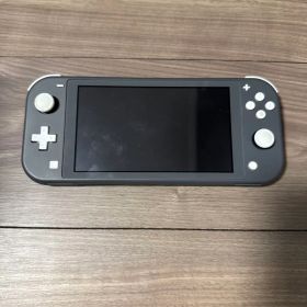 Nintendo Switch Light グレー ジャンク品