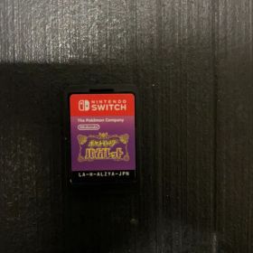ポケットモンスター バイオレット カセットのみ